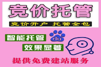 百度广告推广案例：品牌知名度提升策略