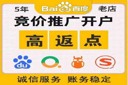 SEO策略在电商平台的成功应用案例